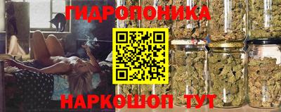 ПСИЛОЦИБИНОВЫЕ ГРИБЫ Среднеуральск
